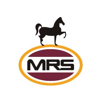 L’Étalon est de retour au Cameroun. Stations-service modernes, carburants de qualité, lubrifiants, lavage et boutiques pour mieux vous servir.