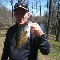 bo phelan (@bophefus) 's Twitter Profile