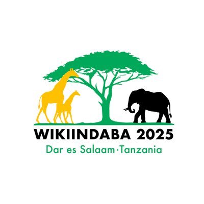 Wiki Indaba 2025 Profile