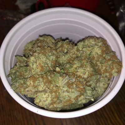 Splackavel87681's profile picture. 