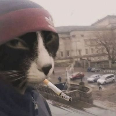 httpsliim's profile picture. Seize the day.

https://t.co/qKD0eRiOd1…