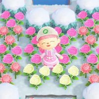 🍵うじまっちゃ🍵 (@cookiemeru_424) Twitter profile photo