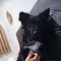 Jason Stevanus (@jasonstev16) 's Twitter Profile