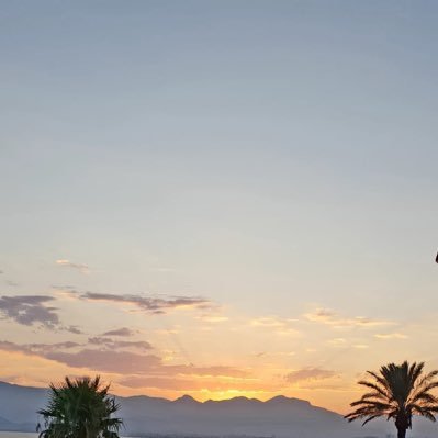 reputationalslf's profile picture. Dt