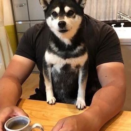 nonnontw's profile picture. 