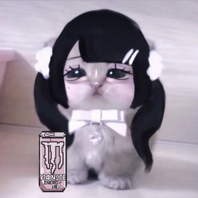 66pbdizk4792105's profile picture. 通話✕｜DM◯｜14y

彼氏ください