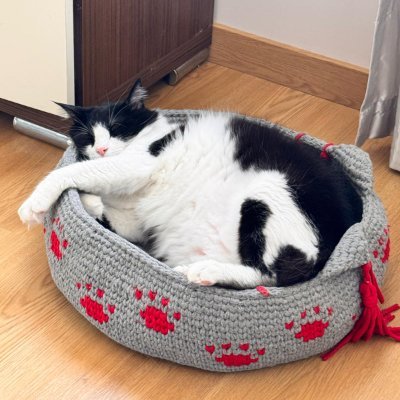 NezoNezooo's profile picture. 