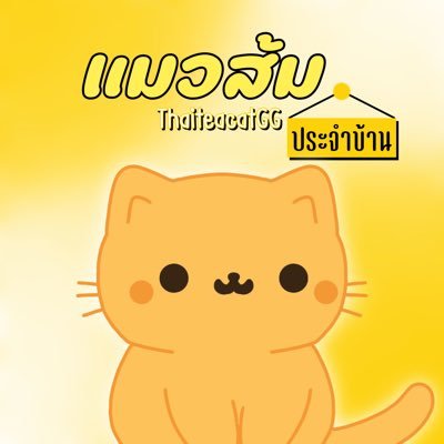 thaiteacatGG's profile picture. 🔍 𝙎𝙐𝙋𝙋𝙊𝙍𝙏 𝙂𝙐𝙇𝙁𝙂𝙄𝙉𝘼 ✨️💍 💛 @gulfkanawut @yeenasalas5 | #กลัฟจีน่า #gulfgina #ไอเหลือง 🪐