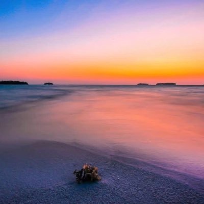 flowersong01's profile picture. 