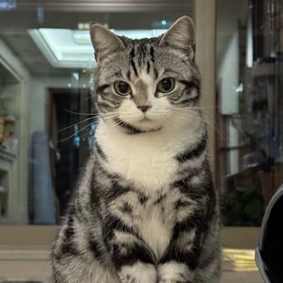 mehelly_'s profile picture. 