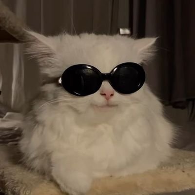 mobinasd_141's profile picture. Live each day as if its your last✨🙂