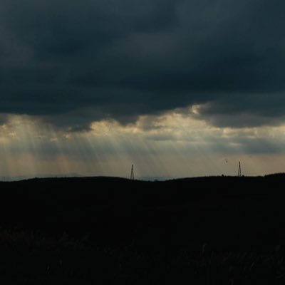 dam1iiee's profile picture. @bifrost