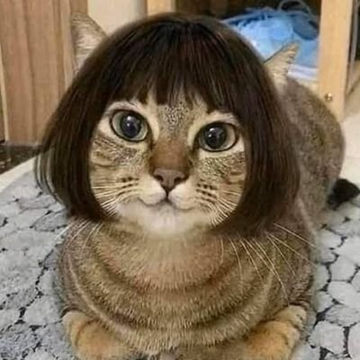 ticostanx's profile picture. @bortolibum 👭🏻💜