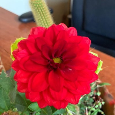 mItenwXdvT4ZDip's profile picture. Live the life you love, love the life you live, live a happy life, work happily, have a happy life, the ideal life is actually the ideal life!