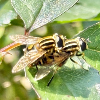 Jovannidererste's profile picture. 