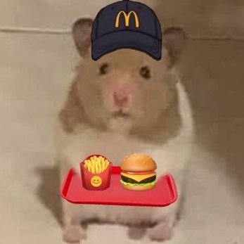 __hamsterlove's profile picture. 