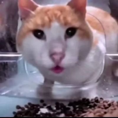 구독하게해주세요