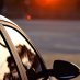 Simco Car Rentals (@simcocar59266) Twitter profile photo Simco Car Rentals (@simcocar59266) Twitter profile photo