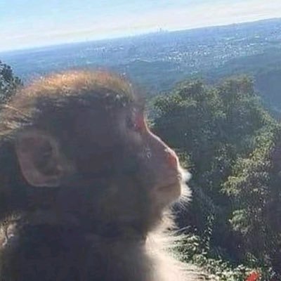 YoelPLI's profile picture. 