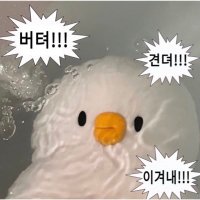 마루 (@jjjhh203) 's Twitter Profile Photo