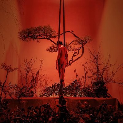 #緊縛、日本伝統のロープアート。美しさと精神性を大切にした表現を行っています。パフォーマンス・撮影モデルなど経験あり。
/女体盛りスイーツ/緊縛(※アートとしてのボディバランス・美しさを追求しています)#女体盛り
