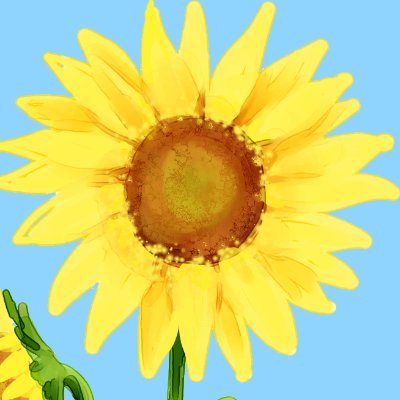 向日葵🌻さんのプロフィール画像