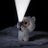 howexjun's profile image