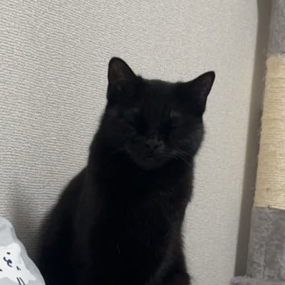 ゆ Profile