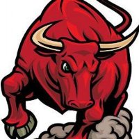 DividendAristo🇺🇸 (@buida500867) 's Twitter Profile