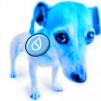 whatsdoge (@blockburned) 's Twitter Profile Photo whatsdoge (@blockburned) 's Twitter Profile Photo