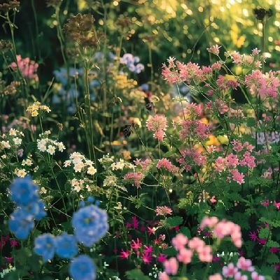 emmalin695408's profile picture. 