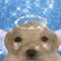 머그미 (@ovocuos) 's Twitter Profile