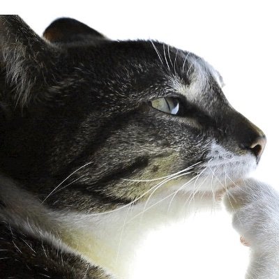 LuGodsniper21's profile picture. hi