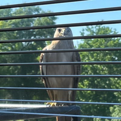 randominfoquest's profile picture. always watching