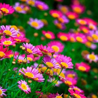 CJ3909's profile picture. 