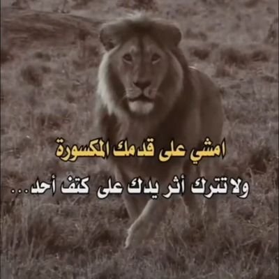 Gienias's profile picture. فرز