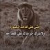 غالب (@gienias) Twitter profile photo غالب (@gienias) Twitter profile photo