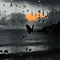 Papatyaaa (@kr_papatyassii) Twitter profile photo