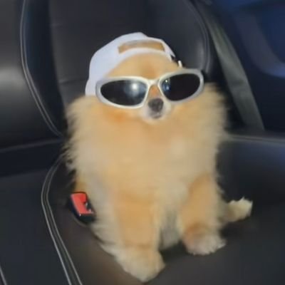 Ladan_candy's profile picture. i