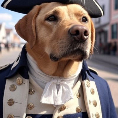 SeamusMcRizzle's profile picture. Disgruntled moderate. criticism of your side does not mean support for the other. Sox Pats Celts B’s Liverpool