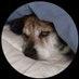 owen (@00hypocrite) Twitter profile photo owen (@00hypocrite) Twitter profile photo