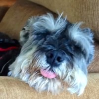 MI_bikenguy (@mi_bikenguy) 's Twitter Profile