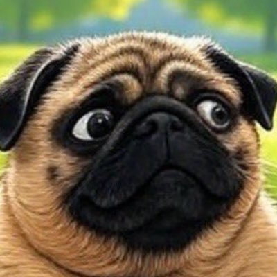 003_pug90955's profile picture. I’m a pug. I post about China or paranormal activity. Sometimes, I comment on geopolitics…