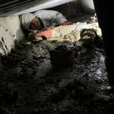 walkingjorts's profile picture. I’m back