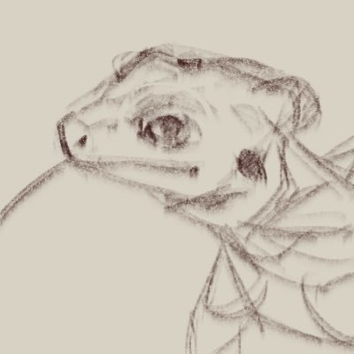 hadariさんのプロフィール画像