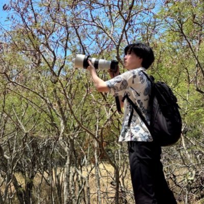 Manager @PwC / ビジネスにおける生物多様性を専門にしています/@KeioSFC →@utokyo_gsfs→@UTokyo_Agri(社会人博士在籍中) / @IPBES 協力執筆者 / Business & Biodiversity/ views are my own.