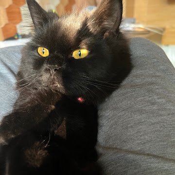 jishnunambiarr's profile picture. 