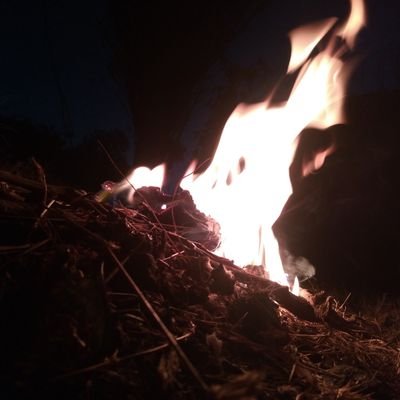 Tkos_zw's profile picture. 