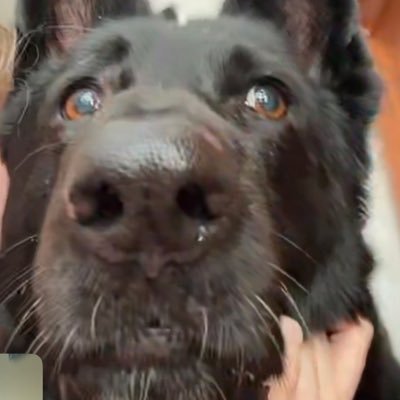 thegratefulphil's profile picture. Mississippi Uptown Half-Step Toodeloo?