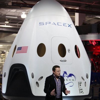 EMusk609244's profile picture. 